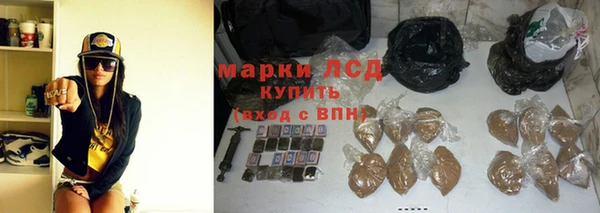 spice Вяземский