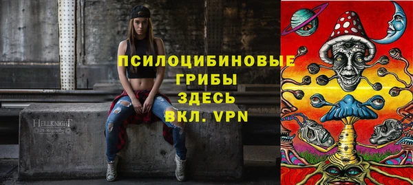 spice Вяземский