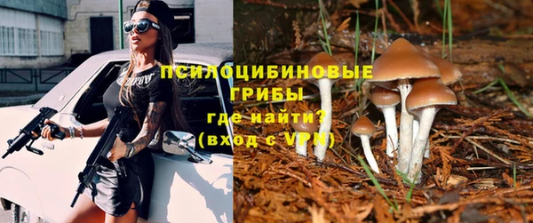 spice Вяземский