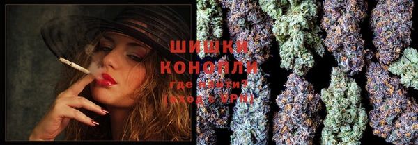 spice Вяземский