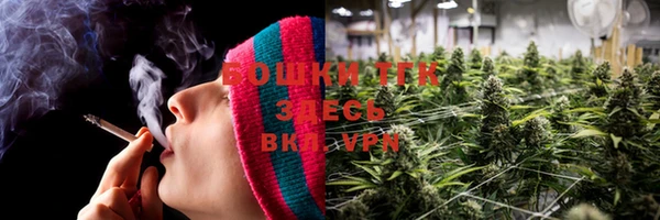 СК Вязники