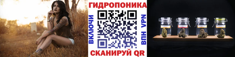 Каннабис семена Кызыл